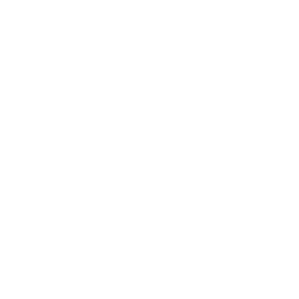 Baurs Travels