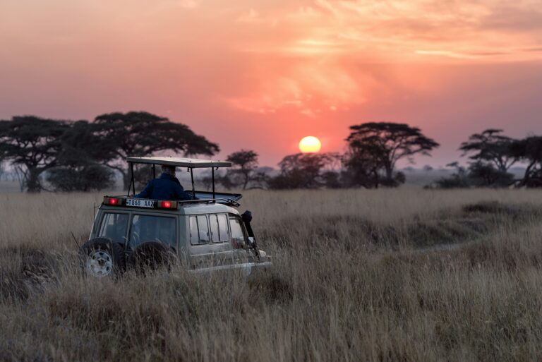 Een safari-jeep rijdt door hoog graslandschap in een nationaal park tijdens een spectaculaire oranje zonsondergang in Sri Lanka.
