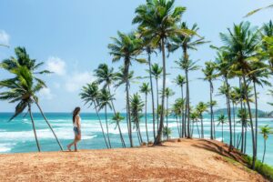 Sandy tropical coastline lined with palm trees in Sri Lanka on a sunny day.
