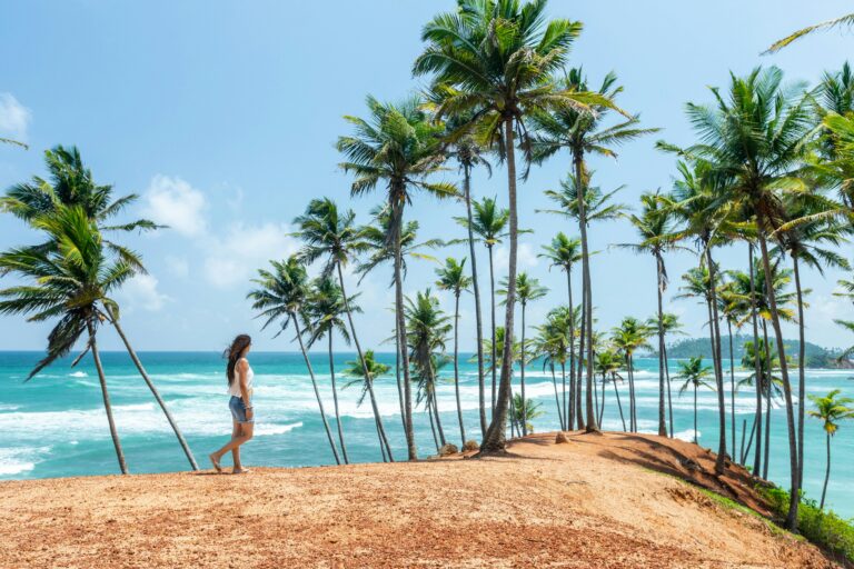 Sandy tropical coastline lined with palm trees in Sri Lanka on a sunny day.