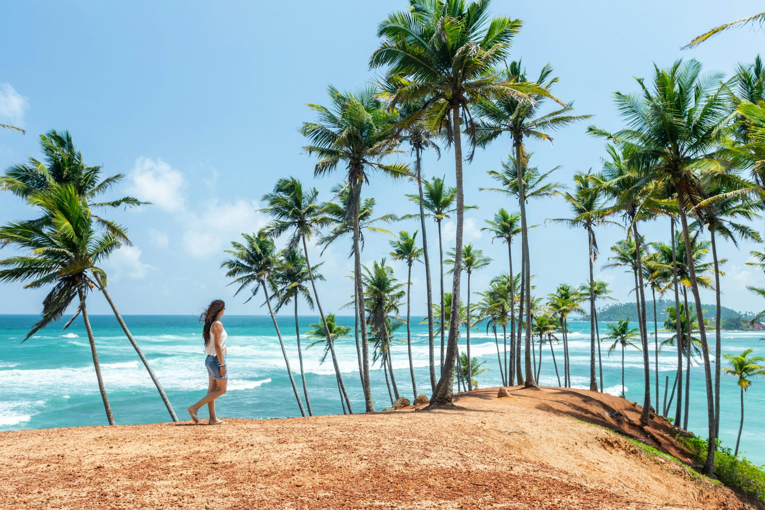 Sandy tropical coastline lined with palm trees in Sri Lanka on a sunny day.