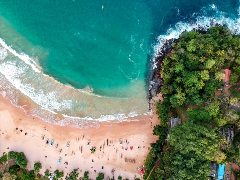 Plage tropicale au Sri Lanka avec des palmiers, du sable doré et une mer turquoise sous un ciel ensoleillé.