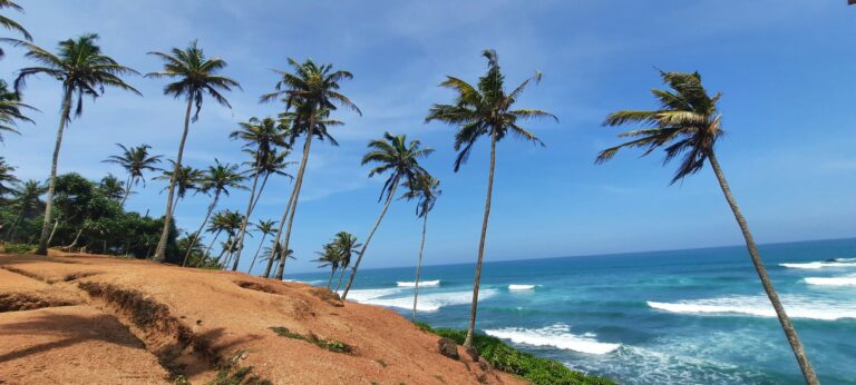 A solo female traveler walking under coconut palms at Coconut Tree Hill in Mirissa, overlooking the turquoise ocean on Sri Lanka's south coast during optimal dry season weather.