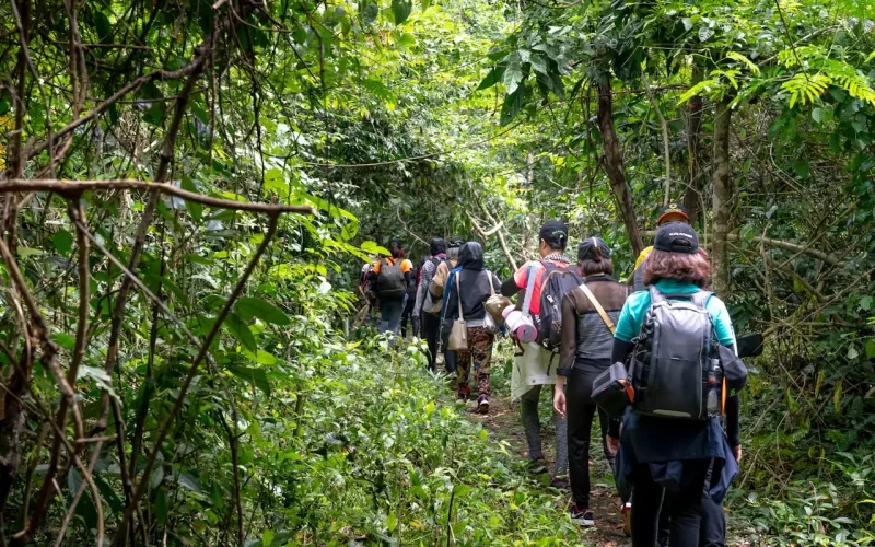 Jungle Trekking Sri Lnaka - Baurs Travels