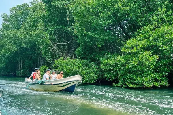 bentota river safari sri lanka