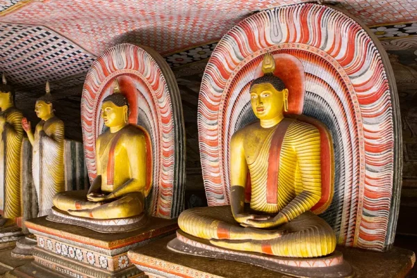 dambulla museum sri lanka