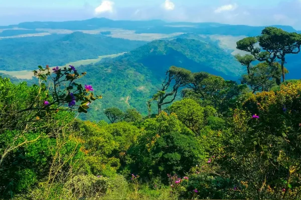 flora and fauna horton plains sri lanka