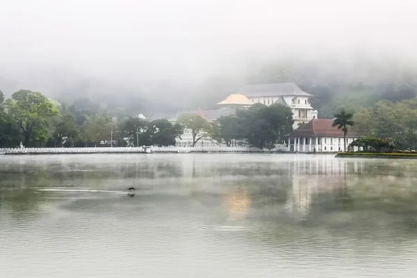 harshabad-kandy-4173595_1280