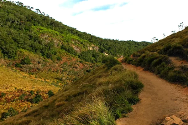 hiking trails and grasslands horton plains sri lanka