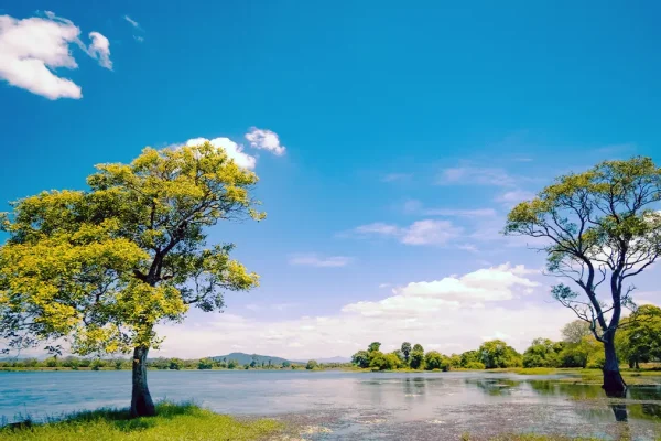 parakarama samudra polonnaruwa - baurs travels