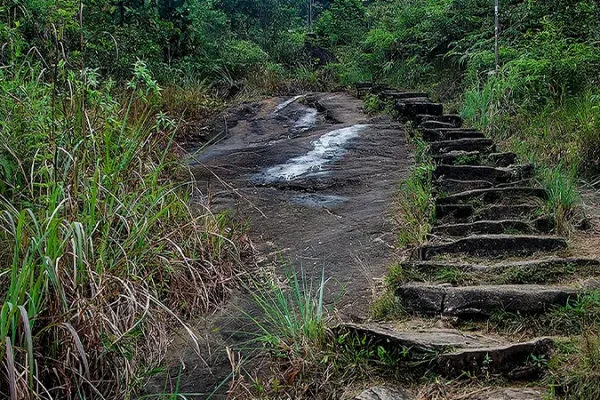 peak wilderness sanctuary sri pada adams peak sri lanka