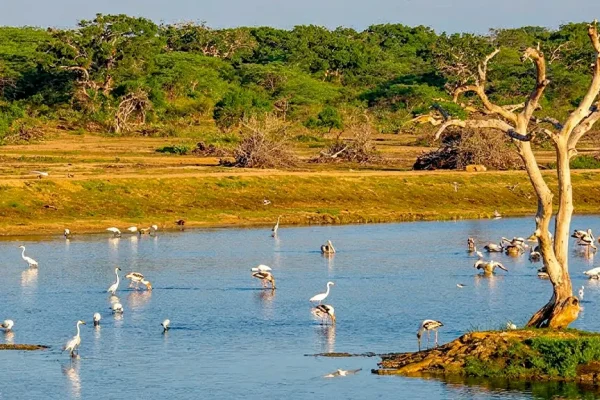 scenic landscapes salt pans scrub jungle lagoons ocean views