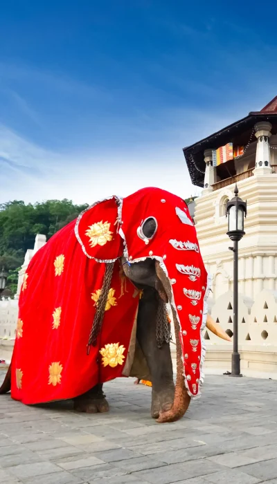temple-sacred-tooth-relic-kandy-sri-lanka-baurs-travels
