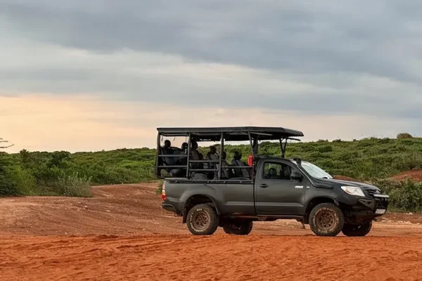 wildlife safaris jeep safaris bundala sri lanka